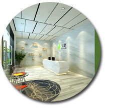 广州宝健公司粉色视频网站设计