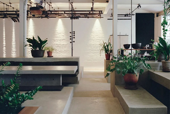 广州办公室粉色视频网站设计