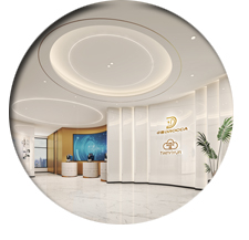 广州办公室粉色视频网站设计