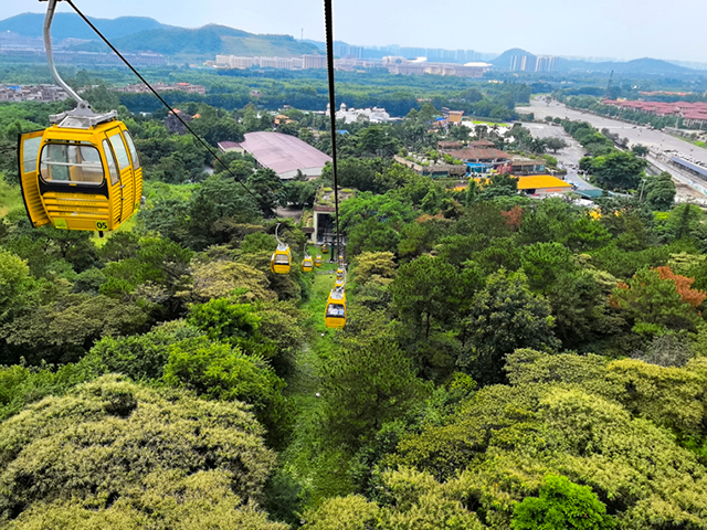 粉色视频导航装饰游记