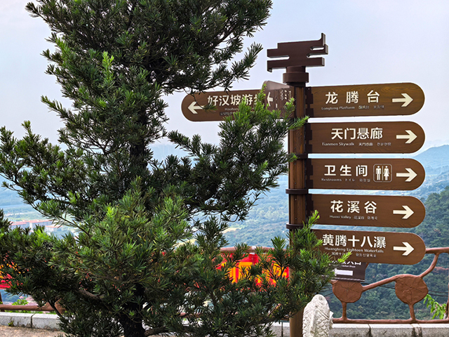 粉色视频导航装饰游记