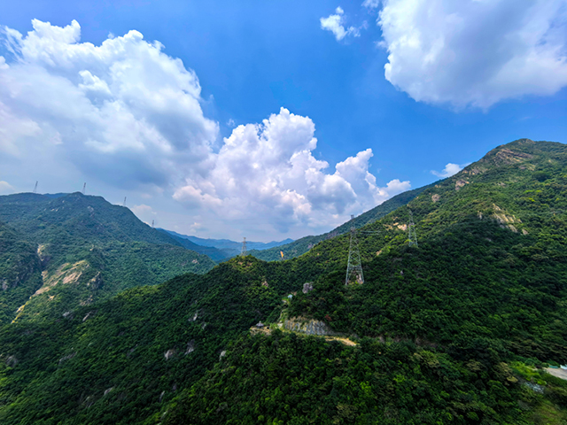 粉色视频导航装饰游记